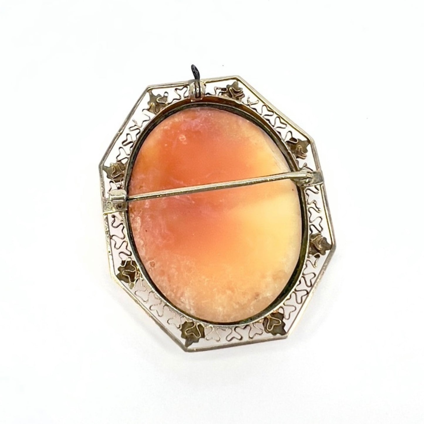 Natiluxia, Luxury Watches, Fine Jewelry