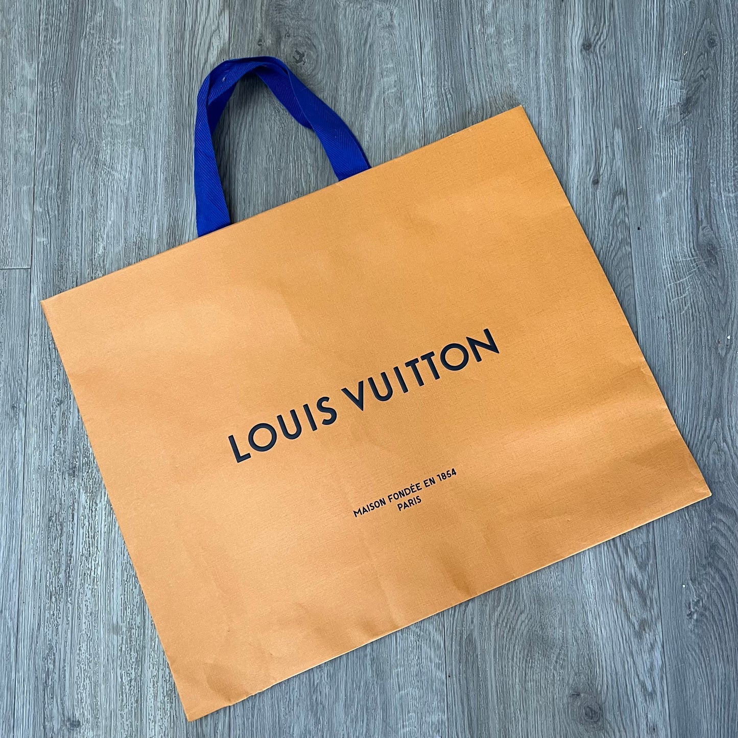 LOUIS VUITTON Shopping Bag 18.90x15.25x4.75 inches 