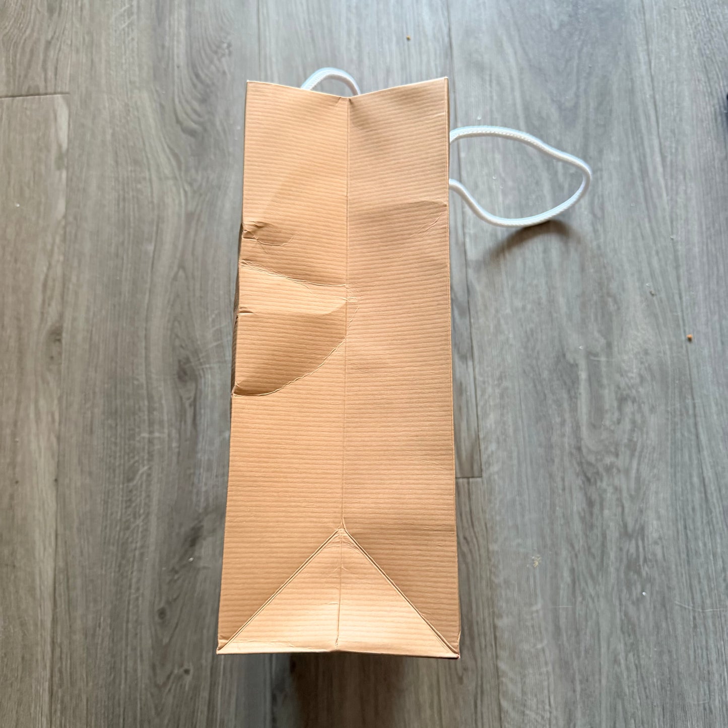 Christian Louboutin paper bag with rope handles