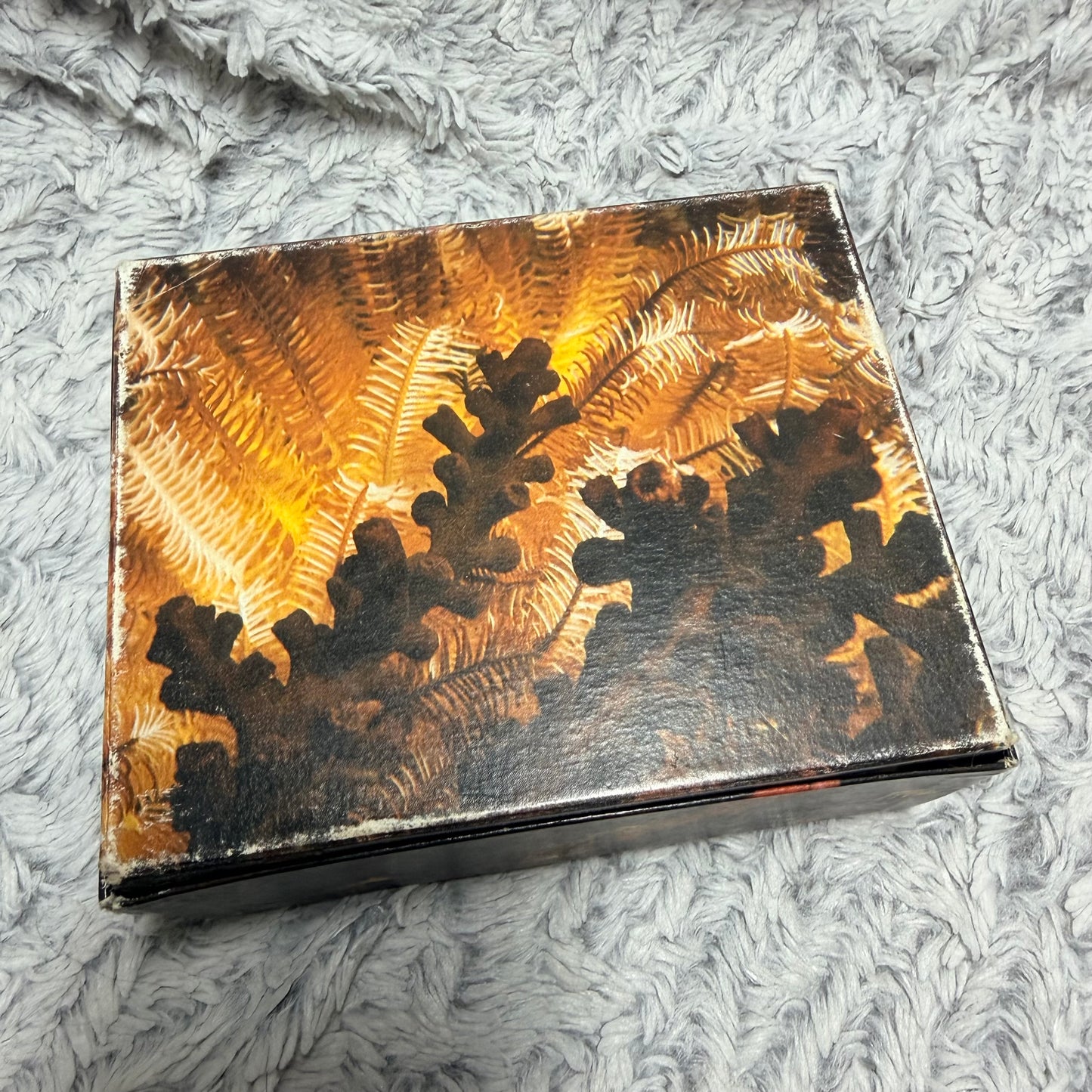 ROLEX Red Box + Outer Box 5.5x4.40x2.25 inches