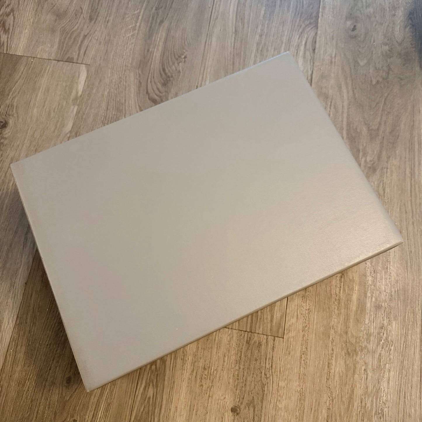 BALENCIAGA Gray Shoe Box with Original Tissue Paper 14.5x10.75x5.70 inches