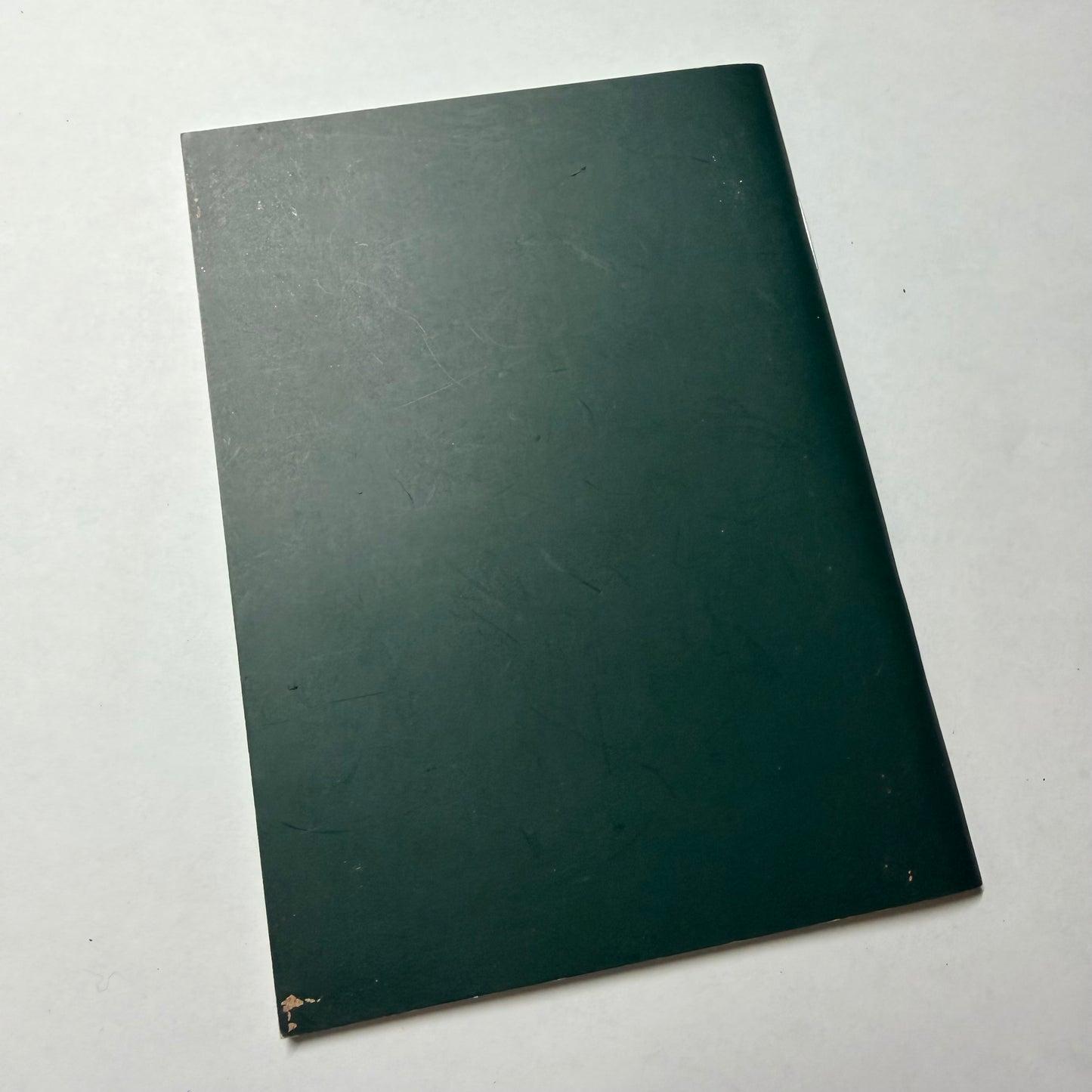 ROLEX Oyster Professional Booklet 2007 Japanese