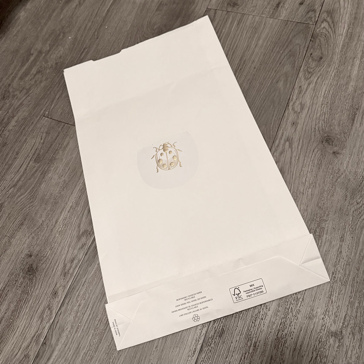 ARITZIA Shopping Gift Bag + Original Tissue 13.75x10.40x2.25 inches