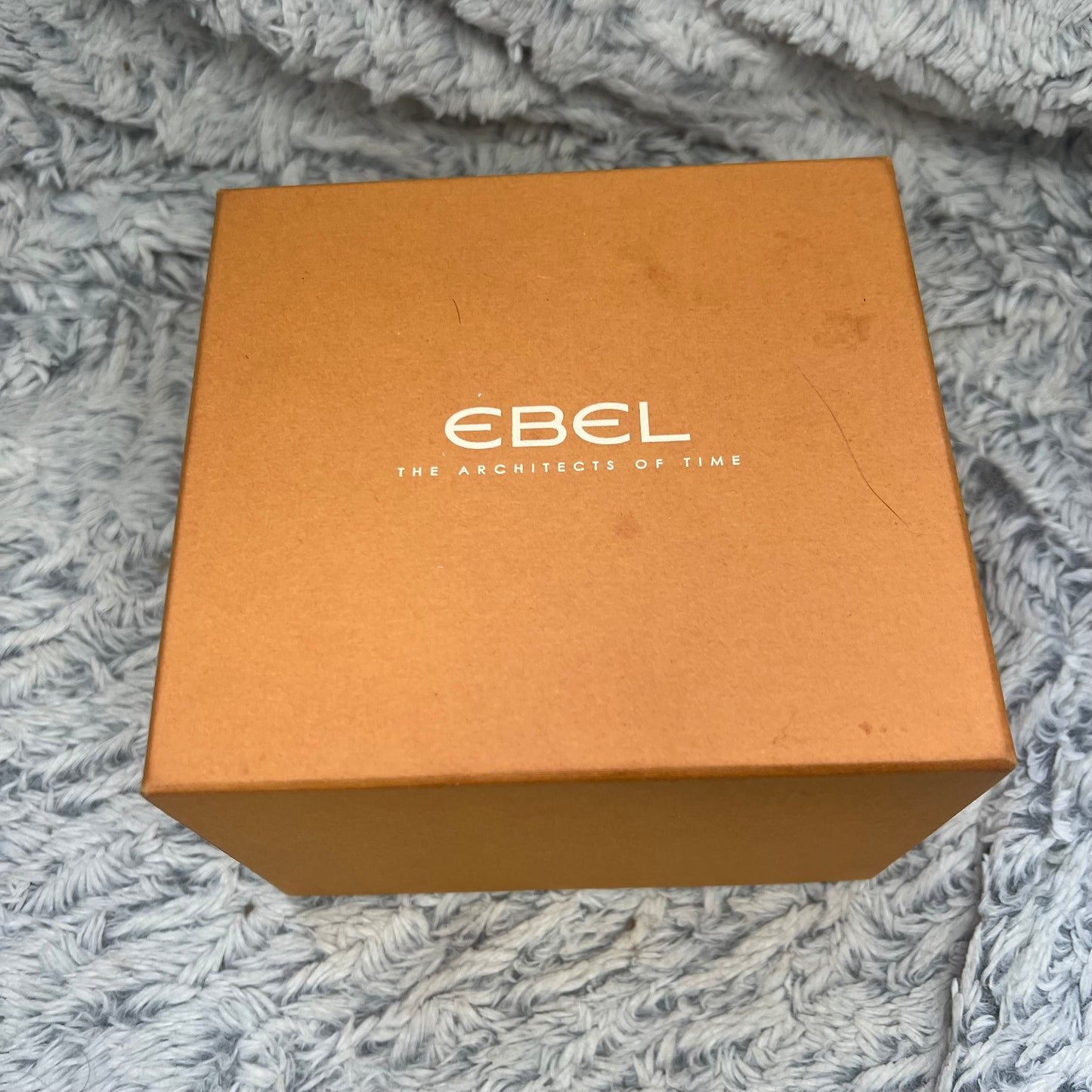 EBEL BRASILIA Quartz 23mm Steel Diamond Watch