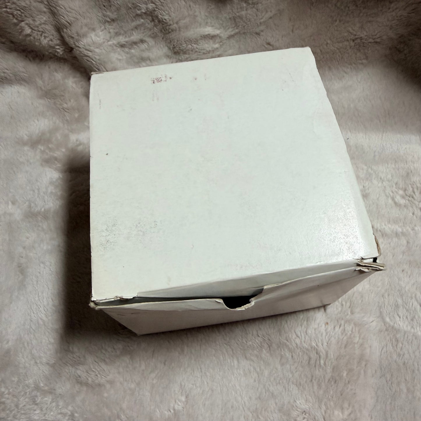 SWAROVSKI Blue Box + Outer Boxes + Booklets + Tag 5.25 x 5.25 x 4 inches