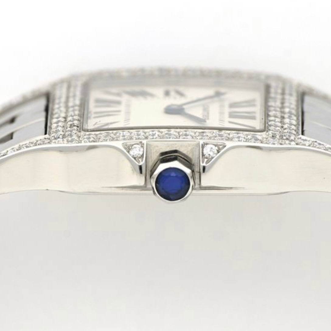 CARTIER SANTOS DEMOISELLE Quartz 26mm Steel DIAMOND Watch NATILUXIA